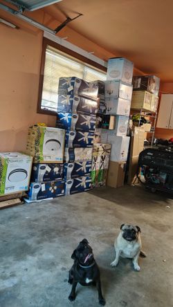 Ceiling fans (brand new)