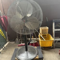 Fan