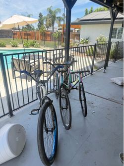 Fixies only