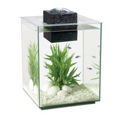 5 Gallon Fish Tank