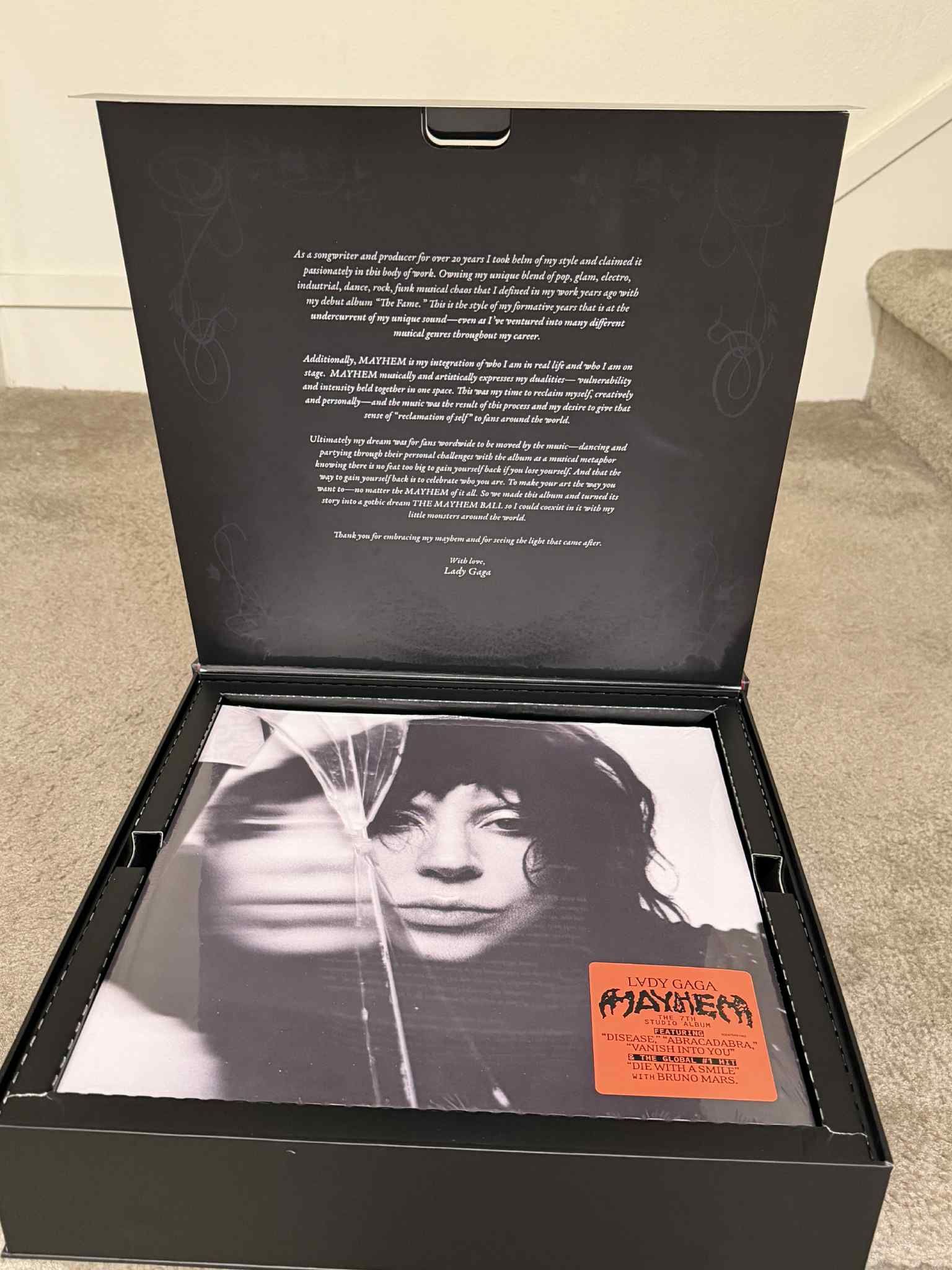 Lady Gaga Record And Book Set ( No T-shirt ) - Pickup From Northridge Area