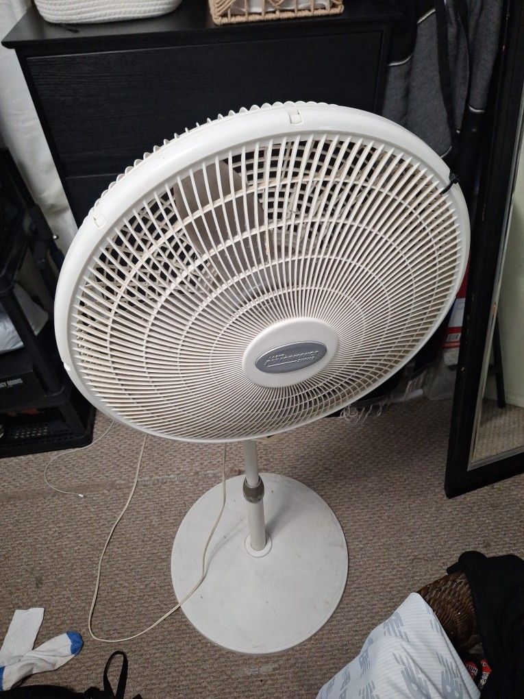 Fan