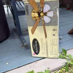 Ceiling fan