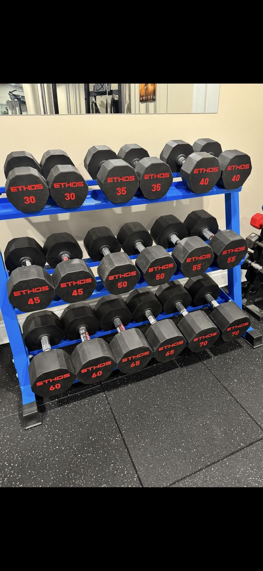 Ethos Dumbbell Set 20-70 Lbs. Brand New!
