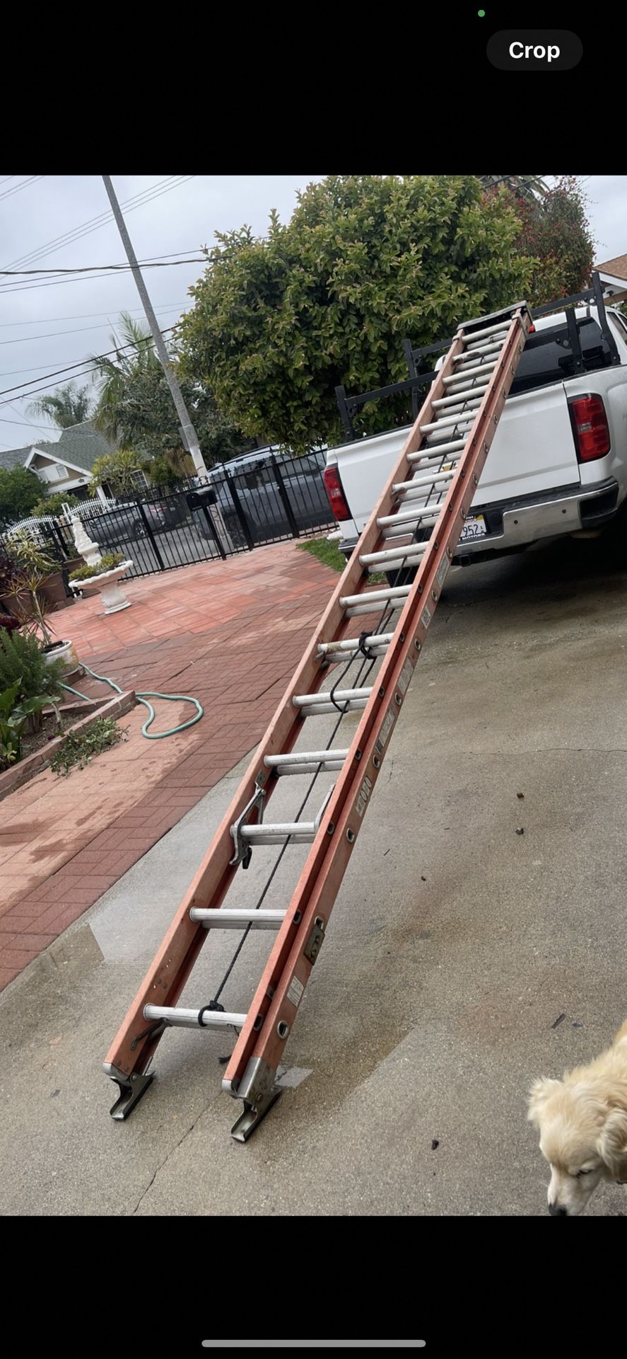 Excellent Condition Different Sizes Fiberglass Extension Ladders