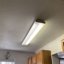 Light Fixture 