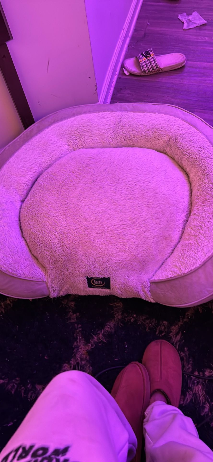 Serta Pet bed