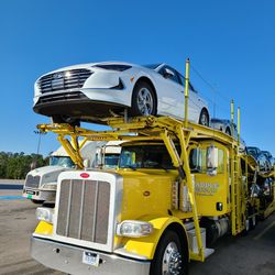 Are You In Need Of Vehicle Transport! Or Others?