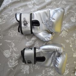 Luniquz Boxing Gloves for Kids Youth, 4 6 8 oz Punching Bag Gloves for Boys Girls Sparring, 6 OZ Sliver 