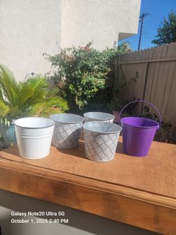 Plant Pots , In Great Condition And Gorgeous 
