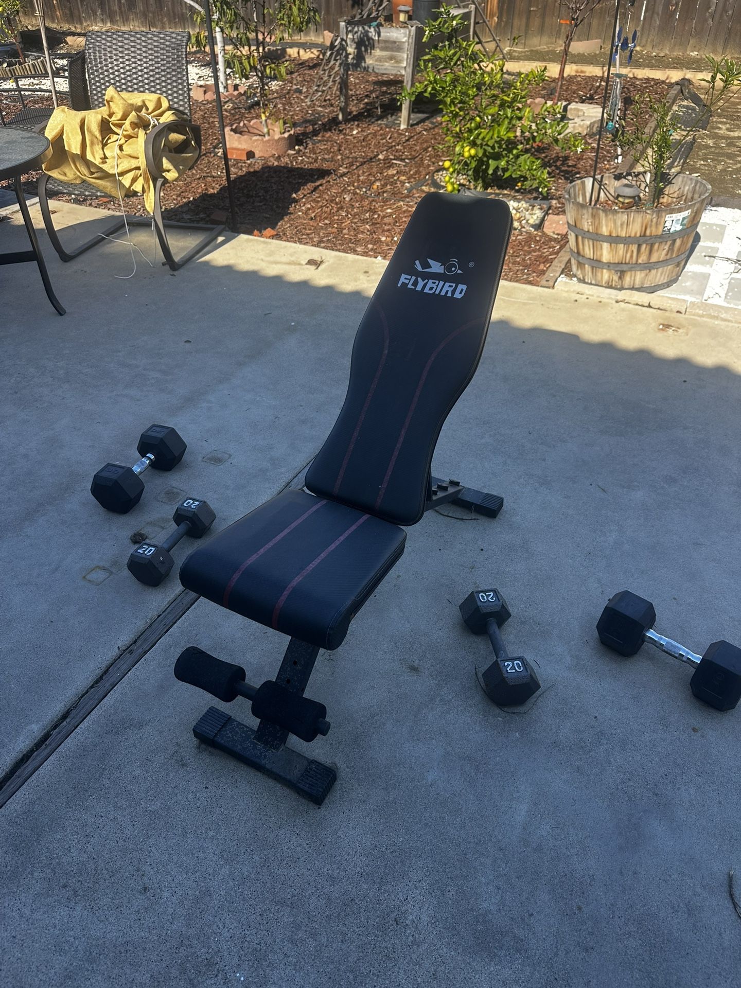 Adjustable Bench And Dumbbell Bundle 