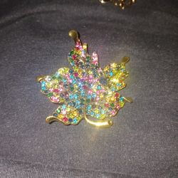 Maple Leaf With Bug Brooch 