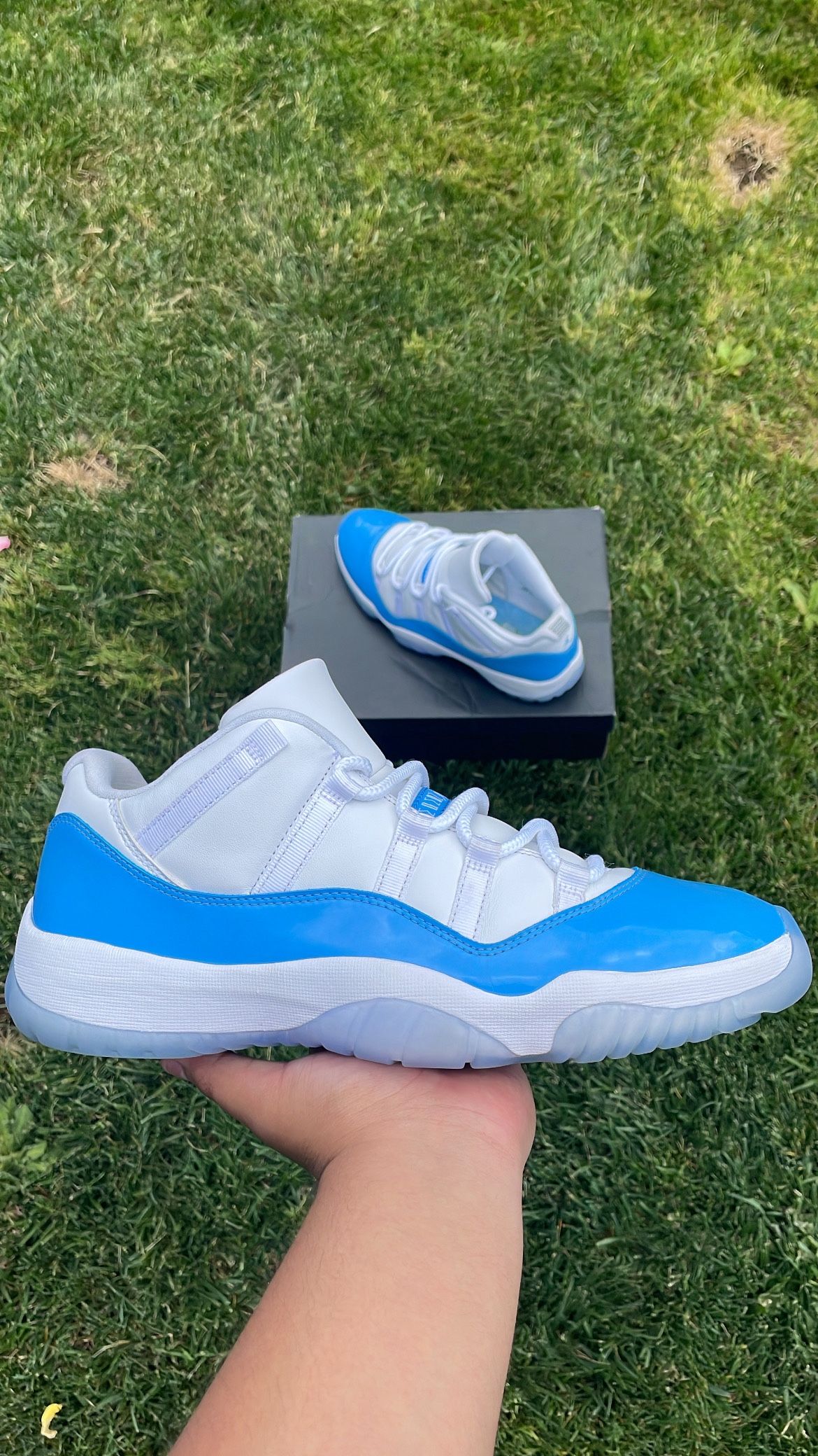Air Jordan 11 Low UNC