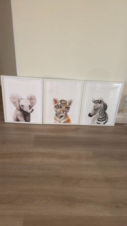 Baby Animal Framed Prints
