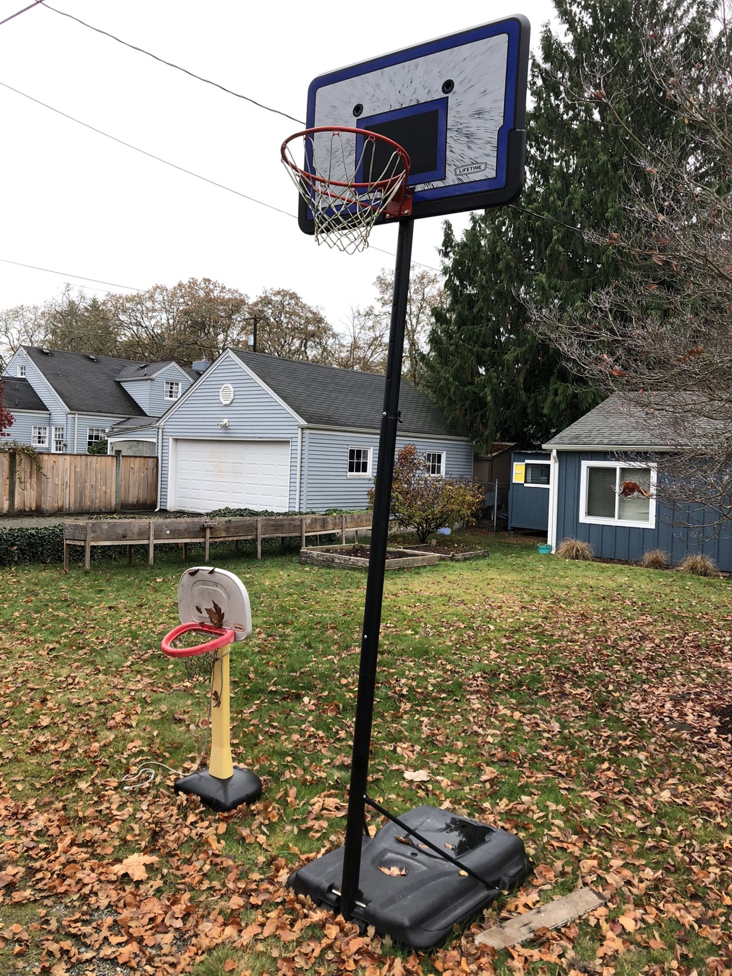 Basketball Hoop