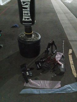 Everlast Punching Bag Boxing 