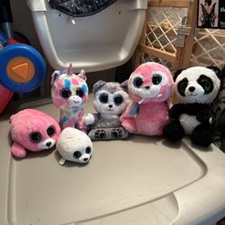 Various Beanie Boo Collectibles