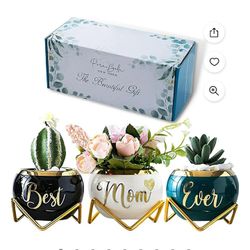 ParaBella  Succulent Pots For Mom