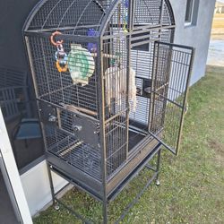 Parrot Cage