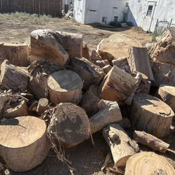 Eucalyptus Rounds, Firewood