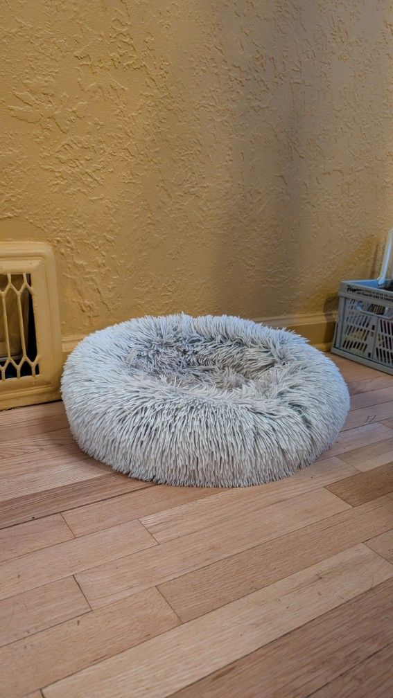 Cat Bed