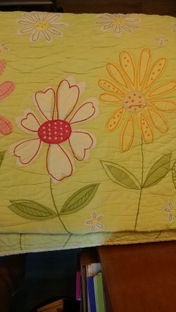 Pottery Barn girls quilt with Sham