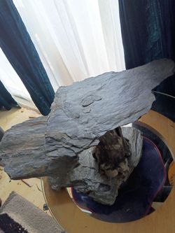 Reptile basking platform