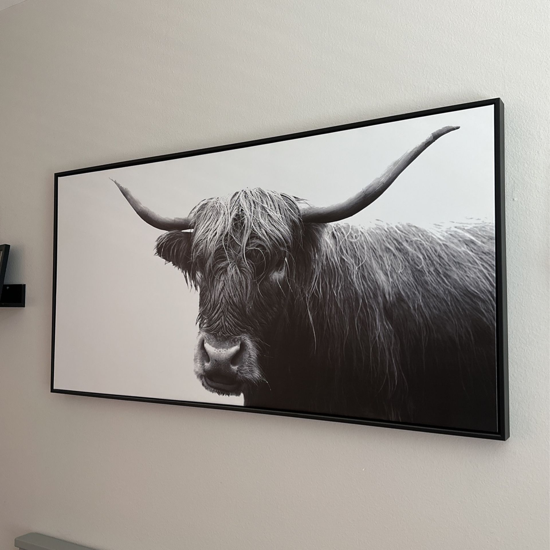 Target Cow Picture