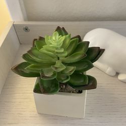 Succulents Plants Artificial in Pots