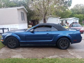 Mustang 2007