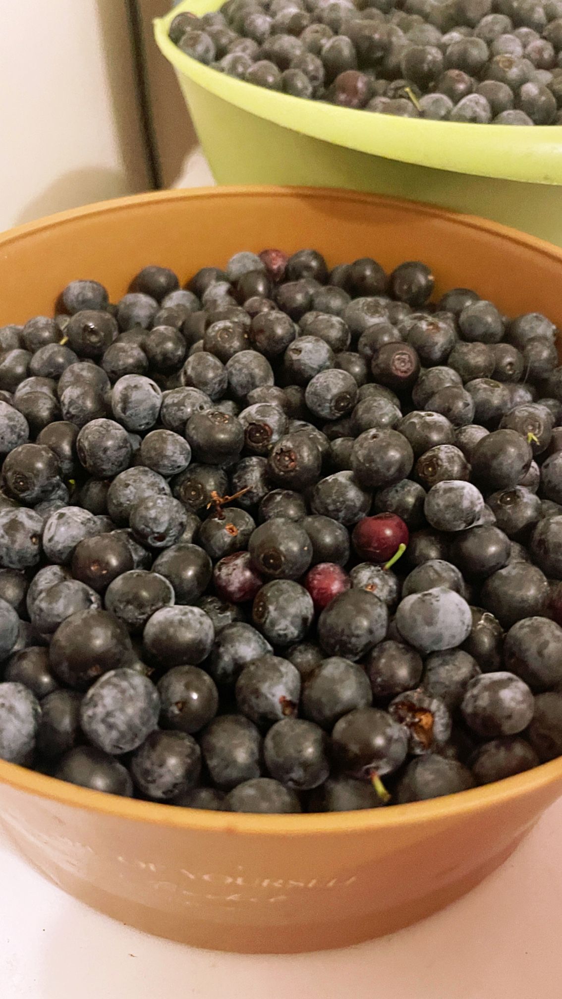 Fresh blueberry Pick up Today