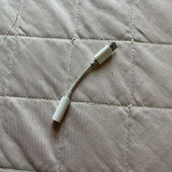 iPhone Adapter 