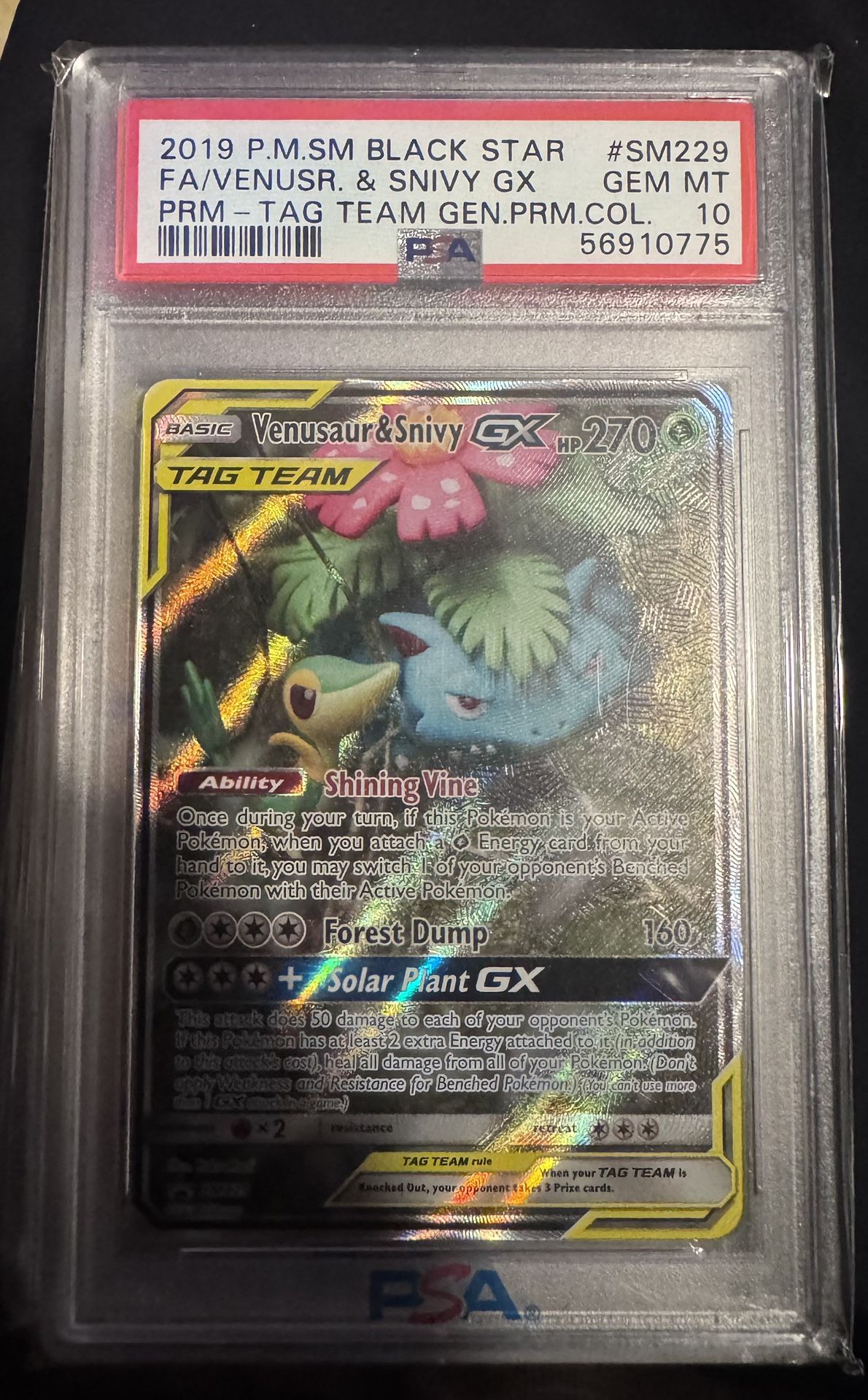 Venusaur & Snivy Sm229