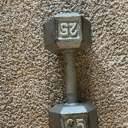 25 Pound Dumbbell