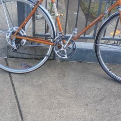 Schwinn Varsity Bike