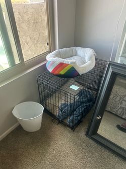 Small dog cage like new