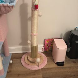 Cat Scratch Post
