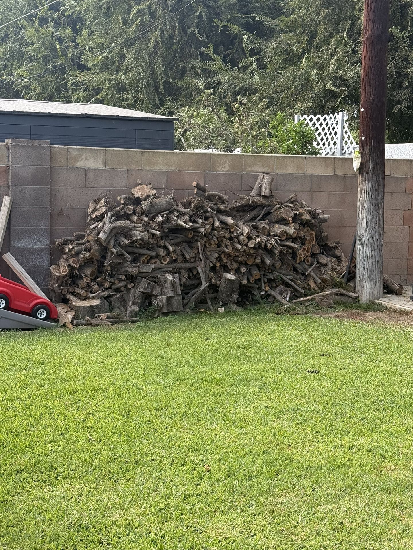 FREE Firewood And Rocks