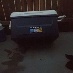 Ice Chest Cooler By IGloo  48 Quarts  I ASK $25.00