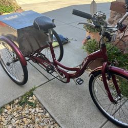 Schwinn Adult Trike