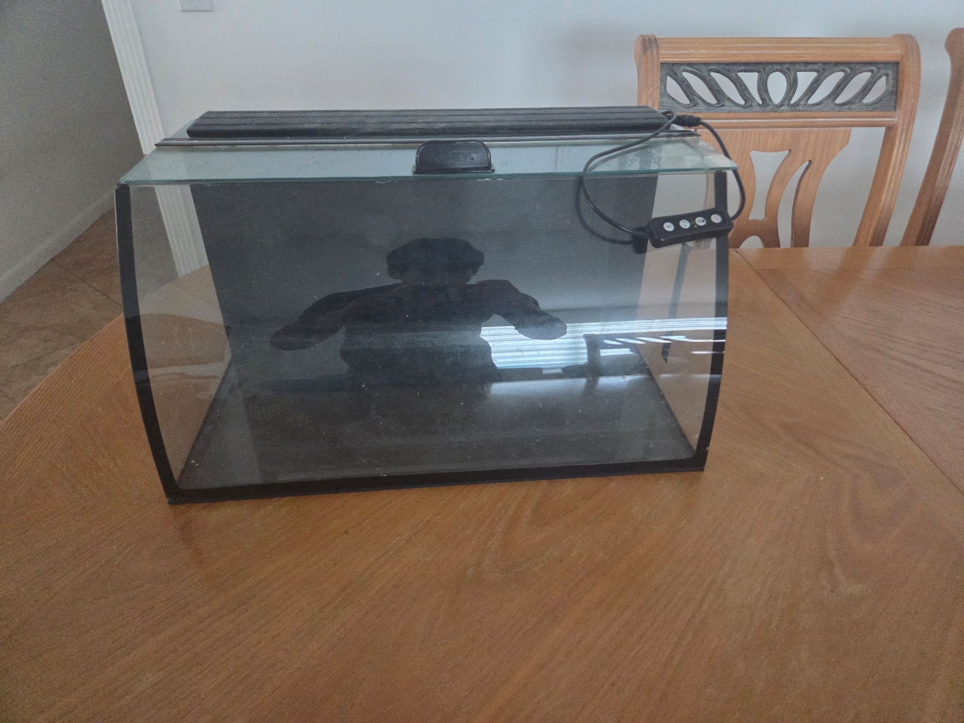 Glass terrarium