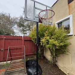 Basketball Hoop - FREE 