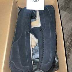 UGG Ascot Slipper (Never Worn)