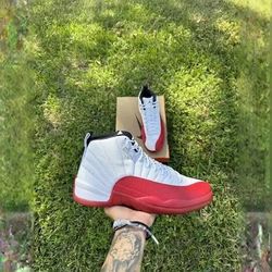 Jordan Retro 12 