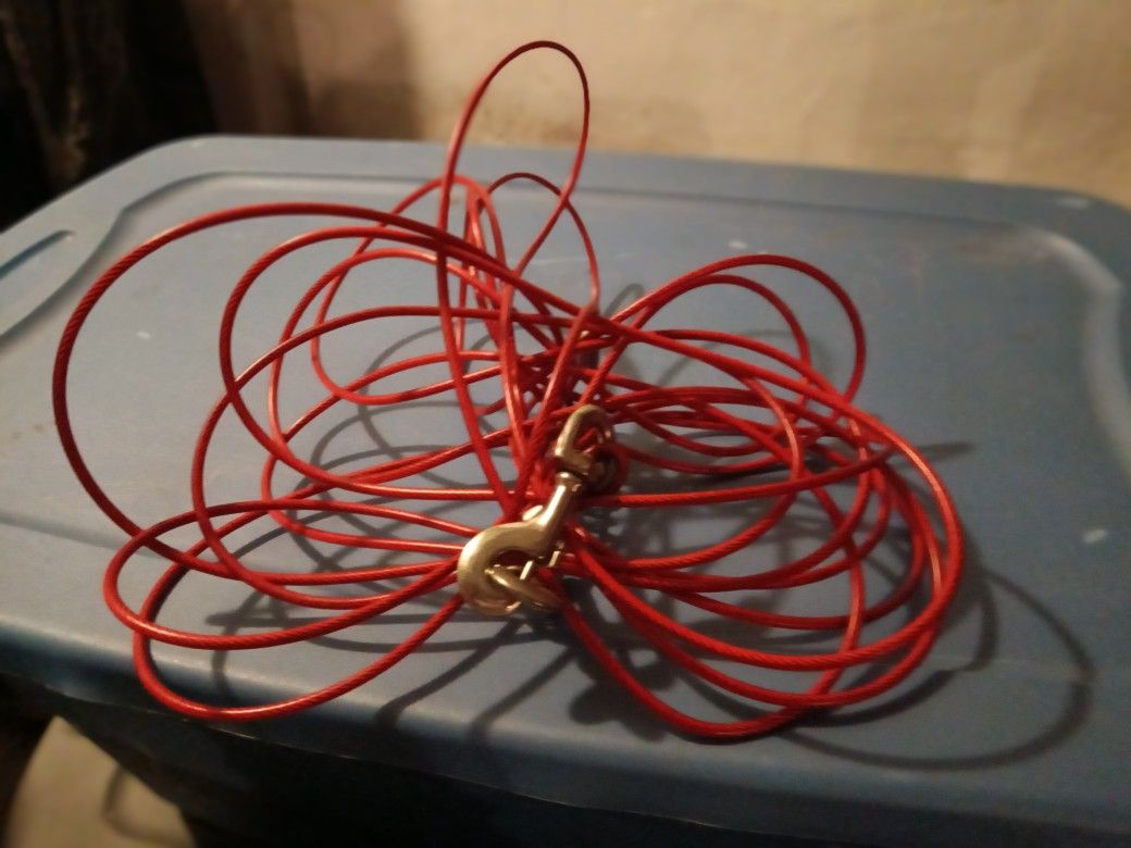 Leash For Dog