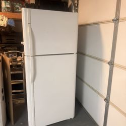 Garage Fridge 