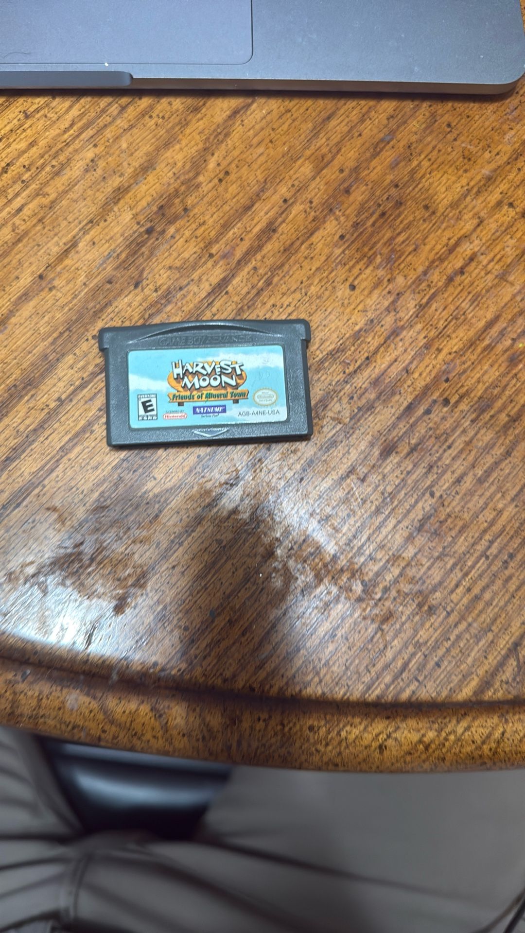 Harvest Moon, Friends Of Mineral Town
