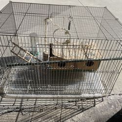 Bird Cage For Sale 