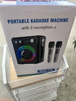 Portable Karaoke Machine with 2 Microphones T-03