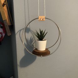 Plant Hanging Planter (plant Not Included)